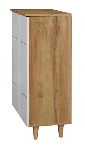Image of DeckUp Plank Alvo 2-Door Engineered Wood Shoe Rack (Wotan Oak and White. Matte Finish)