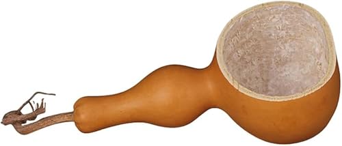 AOBOPOVRЂ傤fސێq hEYŌNS ɗDfނŒnɂ₳ Lb`ł̐݁EHސp^oX[ł̐TE|p^K[fE|ł̐AtEK͟󐅂ɍœK `H|fUCŃCeAɂn