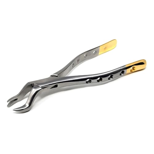 HTI Dental Extracting Forceps #88R Stainless Steel Dentistry Instrument Student Training for Tooth Extraction