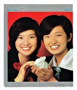 Amazon.co.jp: P594 山口百恵 桜田淳子 ポスター 20cm × 17cm