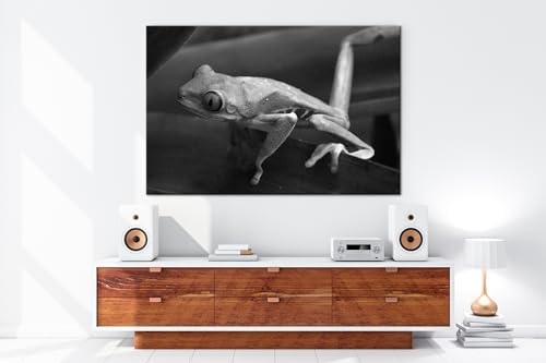 Grenouille verte exotique tableau 90x60 cm pour rompre la monotonie des murs blancs cadre bois - 5