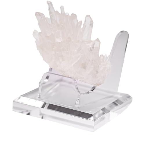 MacilKurtlar Wp΃X^h - ANT|[g - NA~lfBXvCX^h,W{  X  ȎWi E ƒ {I X xbhTChe[up