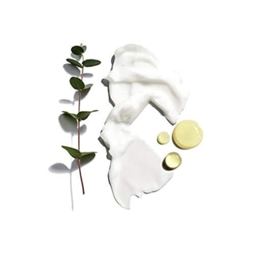 Jack Black Beard Lube Conditioning Shave