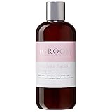 iGroom Tearless Facial Dog Shampoo, Luxury Pet Beauty Care, Ultra Mild to Eyes, Restore Skins Natural Moisture, Made in USA, 16 oz