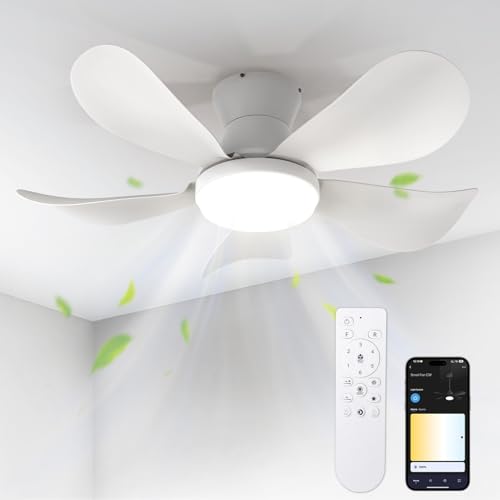 BLITZWILL Deckenventilator mit Beleuchtung, Ø66cm App Steuerung & Fernbedienung Deckenventilatoren...