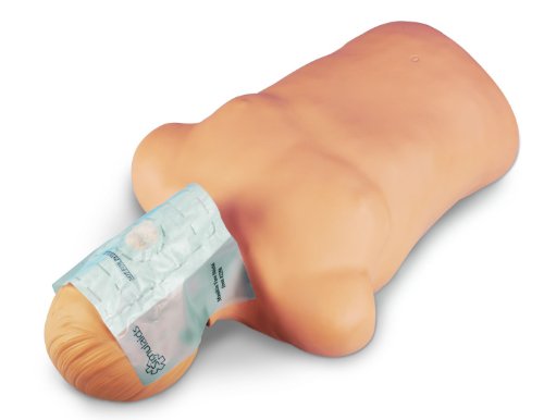 Simulaids Manikin Face Shield (100 pack) - 2250