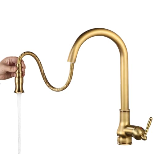Single Handle Pull Out Faucet