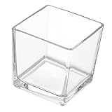 Ipetboom Transparente Glasvase Eckig Moderner Blumentopf mit Stabilem Flachem Boden Vielseitiger Tischdeko Behälter für Sukkulenten Hydrokultur und Wohnraumdekoration
