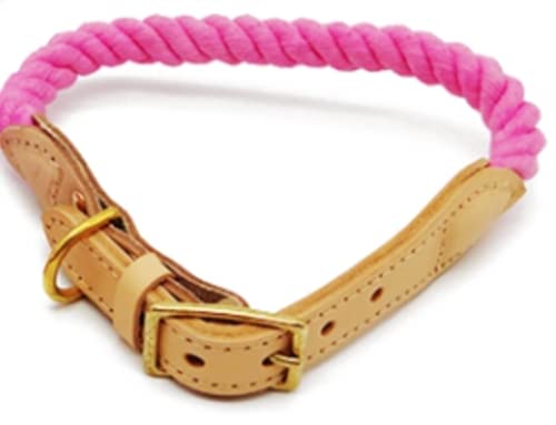 Amazon | The Modern Pet Company Let's Stroll リード+首輪 (襟
