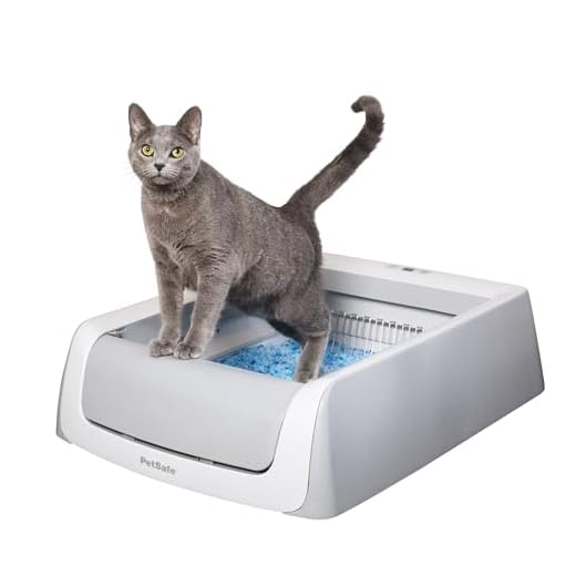 Automatic Self-Cleaning Cat Litter Box