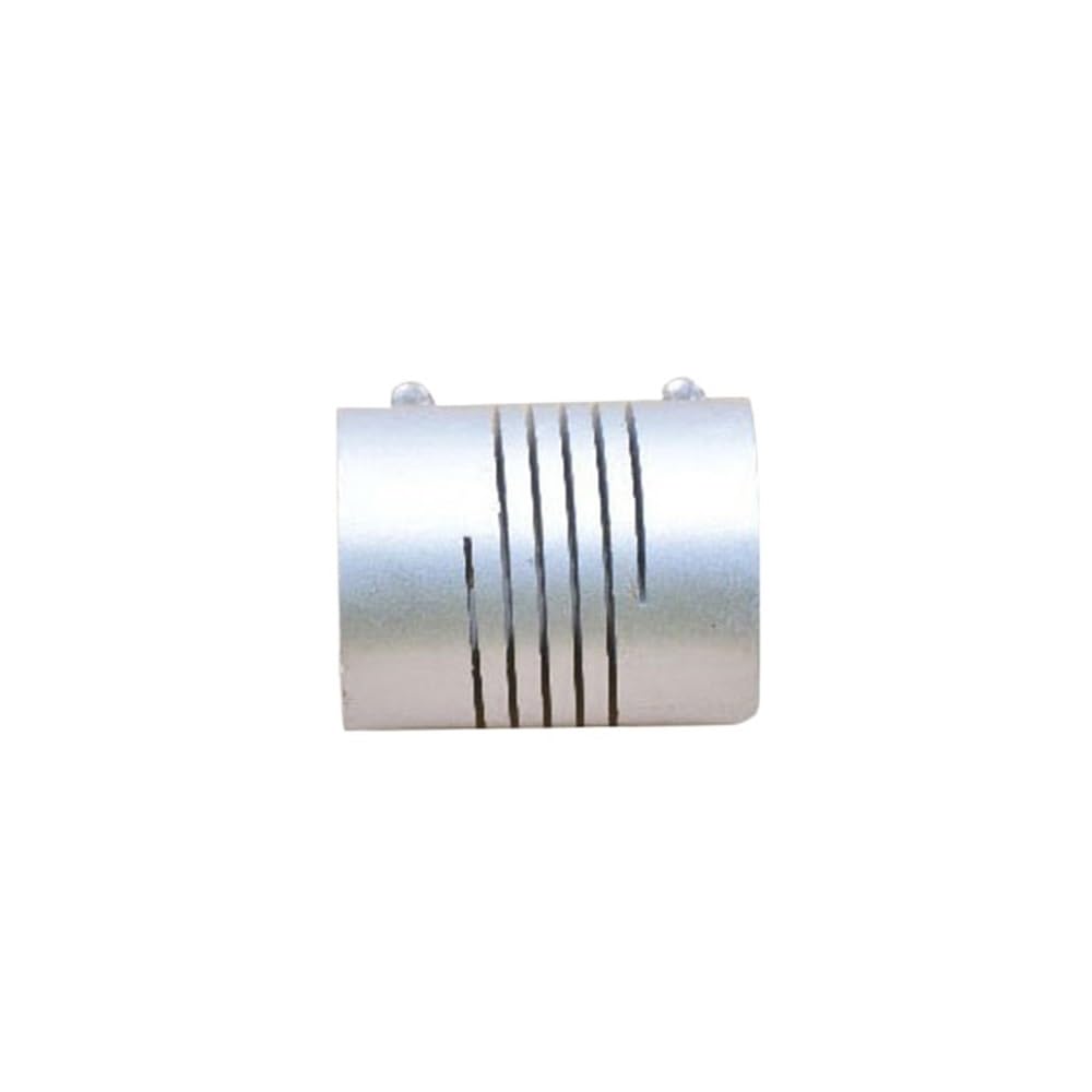 Acoplamiento universal de máquina herramienta para accesorios de motor paso a paso RS-20X25 (RB-20X25-3.17X10)