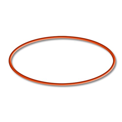 SunSun Ersatzteil für CET-15000 Teichpumpe – O-Ring – für Teich, Gartenpumpe, Skimmer, Bachlauf Zubehör