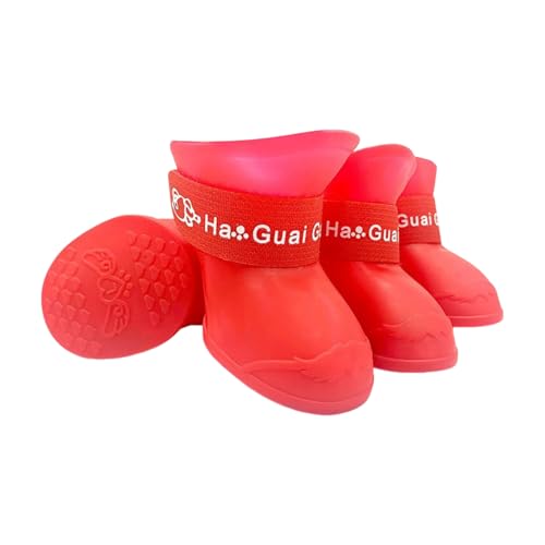 ̌C h h pC S`LTCY  C  Up }WbNe[v ~ߒ VR \