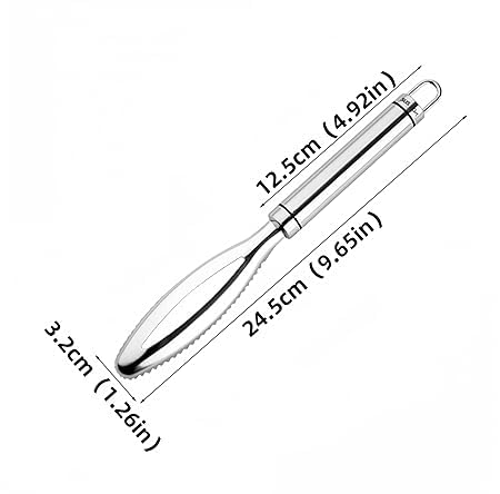 Qitzhaa prime Fish Scale Remover Stainless Steel Fish Scale Scraper, Ergonomic Handle Design for Fast Scales Peeling Multifunctional Fish Scale Planer Kitchen Gadget 1