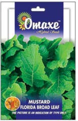Mustard florida broad leaf Vegetable seeds Pack of 2 Kitchen Garden Packet (B07M7P3PW4) Amazon Price History, Amazon Price Tracker