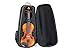 Gewa Space Bag Violin case (300831)