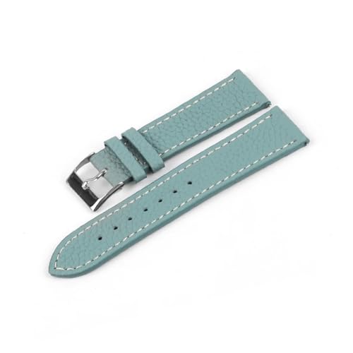 [] EDVENA C`\tg{vvXgbvYfB[X 16 ~[g 18 ~[g 20 ~[g 22 ~[gvvohANZT[(Green,18mm)