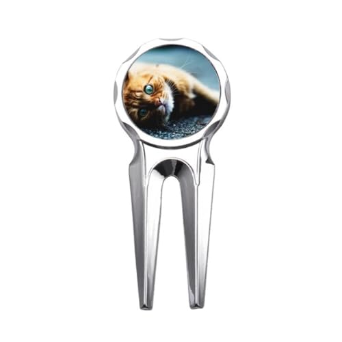 ̏Ȑڂ̔Lʐ^ StfB{bgc[ St{[}[J[Cc[