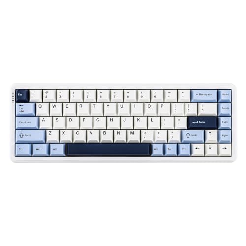 MechLands AK680 MAX 3 Modi Wireless Gaming Keyboard mit 8K Polling Rate, Rapid Trigger Magnetic Keyboard mit Hall-Effekt Schalter, Top Struktur, RGB, QWERTY (Weiß)
