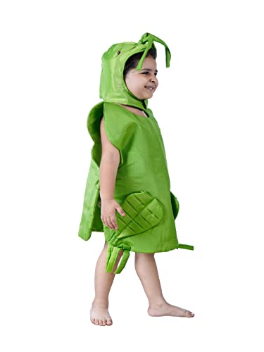 BookMyCostume Grasshopper Locust Insect Kids Fancy Dress Costume 7-8 years