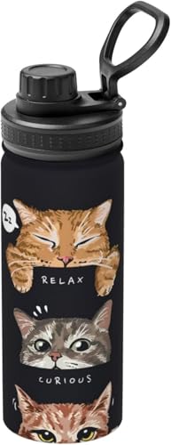  ^fM X|[c{g L ˂ XeX{g y ۗ 킢E ۉ 530ml  ^ Rɂ 􂢂₷  ʋ ԗp v[g