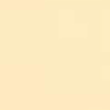 Orange Color Correction Lighting Gel Filter Sheet 40x50cm/16x20in, 1/8 CTO, Photography Transparent Light Gels for 800W Red Head Light Strobe Spotlight Flash Photo Studio Video, 4 Packs