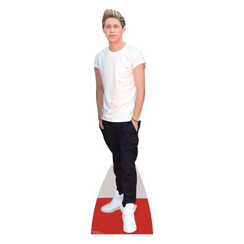 Star Cutouts Niall Boyband Cardboard Standee Cover