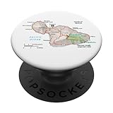 Photo Gallery escursionista hawaiana escursione hawaii sentieri escursionistici vacanza souvenir popsockets popgrip intercambiabile Photo Gallery escursionista hawaiana escursione hawaii sentieri escursionistici vacanza souvenir popsockets popgrip intercambiabile