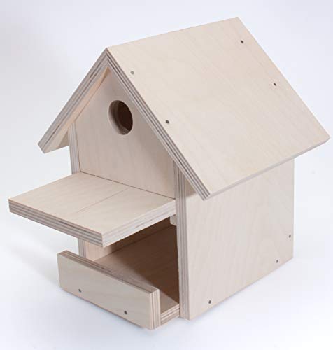 Pebaro 466 Holzbauset Bastelset Vogelhaus inkl. 9 unbehandelten Birkenholzplatten, Löcher vorgebohrt, Hammer und Nägeln, Geschenkidee für Hobby, kleine Handwerker und Kinder, Basteln mit Holz