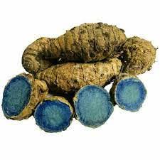 Urantex® Kali Haldi 5 piezas