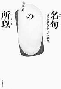 名句の所以 近現代俳句をじっくり読む　澤俳句叢書第二十四篇 (毎日新聞出版)