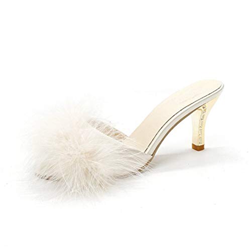 [AYBTO] fB[X C V[Y t@[ pvX  x[W ꂢ t@[pvX sq[ t H ~ JWA t@[T_ ₷ ɂȂ [q[ t@[t ~[   t@[~[ 24.5c