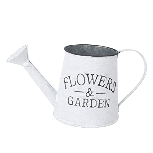 BESPORTBLE 1 Pc Macetas Suculentas Maceta Retro Macetas Led Estaño Maceta con Flores Decoraciones Jardineras De Autorriego Interior Afuera Decoración De Plantas Ser Light Grey Planchar