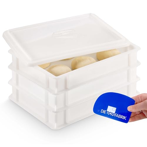 DIE BOX FABRIK 3x Pizzaballenbox Gusto + 1 Deckel, 40x30x7 cm | Gärbox, Teigwanne für Pizzateig. Teigbox für 6 Pizzaballen, Pizzateigbehälter (3x Gusto Box + 1x Deckel)