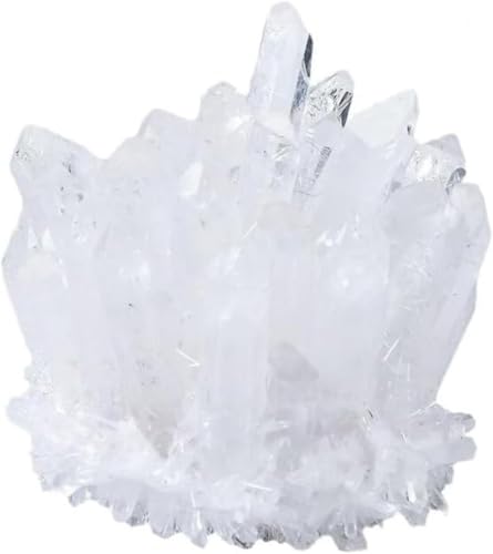 Juxkov򉻂̂߂̌ʋ|NX^NX^[GlM[Xg[ΑNX^J^^GN\VXgs^փCeAzCgNH[c (310-400 g)