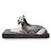 LaiFug Orthopedic Memory Foam Pet(46