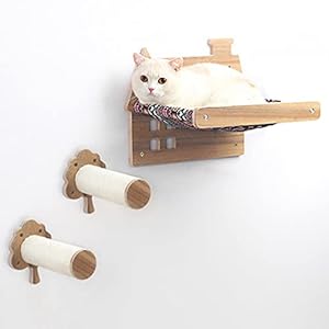 Katzen Kletterwand,Inkl Katzen Hängematte zur Wandmontage & 2 *Kletterstufe , Kratzbäume und Sitzstangen zum Schlafen, Spielen, Klettern und Faulenzen – Modernes Katzenbett und Möbel