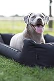 Lebon - Hundebett Paula Plus Schwarz - Orthopädisch - 3 Größe - 80 cm - 100cm - 120cm -Mit Reißverschluss und waschbar - Pflegeleicht - Schmutz - und Wasserabweisend (L)
