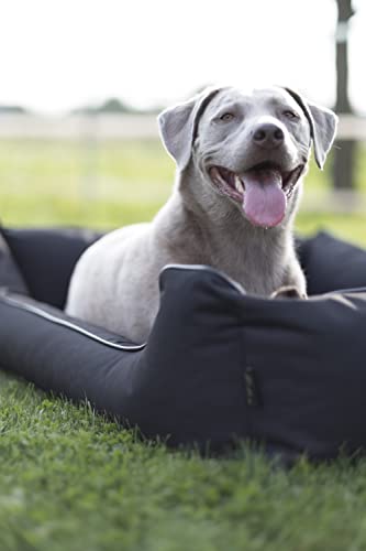 Lebon - Hundebett Paula Plus Schwarz - Orthopädisch - 3 Größe - 80 cm - 100cm - 120cm -Mit Reißverschluss und waschbar - Pflegeleicht - Schmutz - und Wasserabweisend (L)