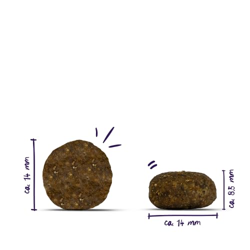 bosch HPC PLUS Adult Strauß & Kartoffel | Hundetrockenfutter für ausgewachsene Hunde aller Rassen | Single Protein | grain-free | 1 x 12.5 kg