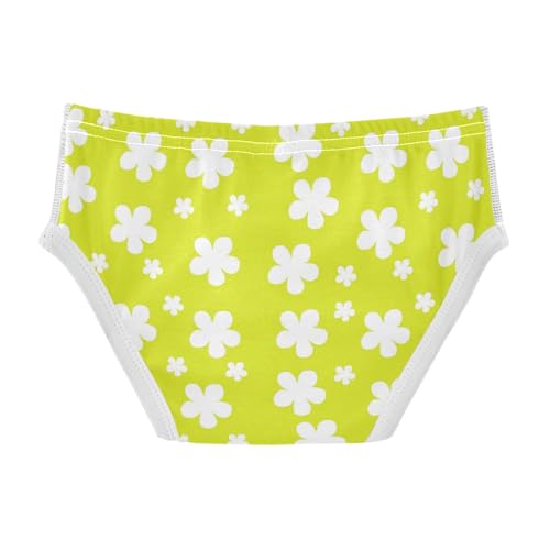 Boys' Exclusive Briefs Toddler Underwear 95% Combed Cotton Boxerbriefs 2T Flower Pattern 502