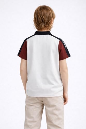Image of Alan Jones Clothing Boys Cotton Blend Regular Fit Colorblock Polo T-Shirt