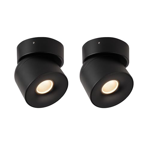 Image of Aisilan 15W LED Dimmable Ceiling Spotlight, Adjustable Directional Surface Flush Mount Lighting, Wall Spot Lights Indoor Accent Fixture for Art Picture Gallery Paintings, 3000K, Black