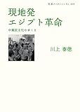 現地発 エジプト革命――中東民主化のゆくえ (岩波ブックレット)