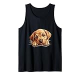 Per cani che hanno sempre voglia di coccole, di affetto e di essere accarezzati.