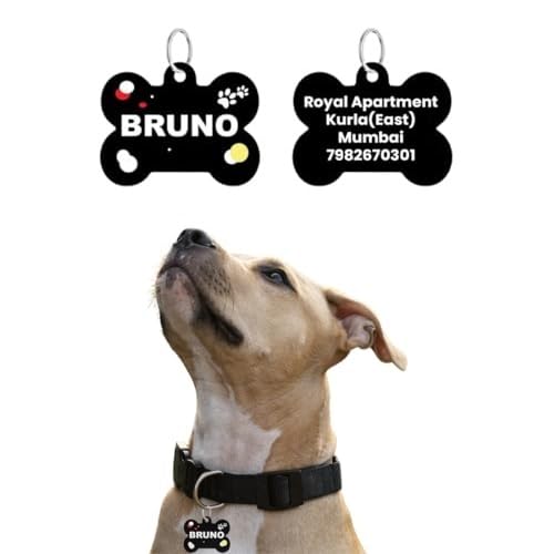 Payton Perry Customized Dog Name Tag ID for Dogs/Cats, Lightweight, Water-Proof, Rust-Proof and Skin Safe (Bone Shape) (B0CLB45NXC) Amazon Price History, Amazon Price Tracker
