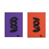 ジェネリック - Into The Storm 1stシングルアルバム(パープル)。