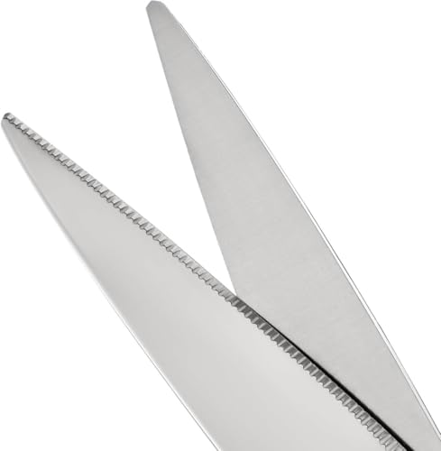 NTS Solingen Geschmiedete Küchenschere aus rostfreiem Edelstahl, Made in Germany, Hochwertige Haushaltsschere für Rechts- und Linkshänder geeignet, Scharfe Schere für die Küche, Made in Germany