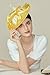 BABEYOND Derby Hats for Women - Fascinators Tea Party Hats Headband Wide Brim Fascinator Wedding Cocktail Flower Feathers Yellow