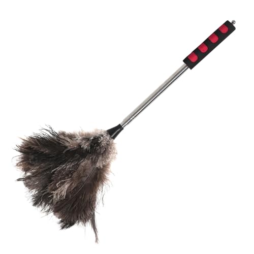 MUCKLILY Avestrí Duster Techo de Ventilador de Techo Plumero casero plumeros Lavables para Limpieza Plumero Mango Largo Plumero de Escritorio para Oficina Pluma de Avestruz Plata